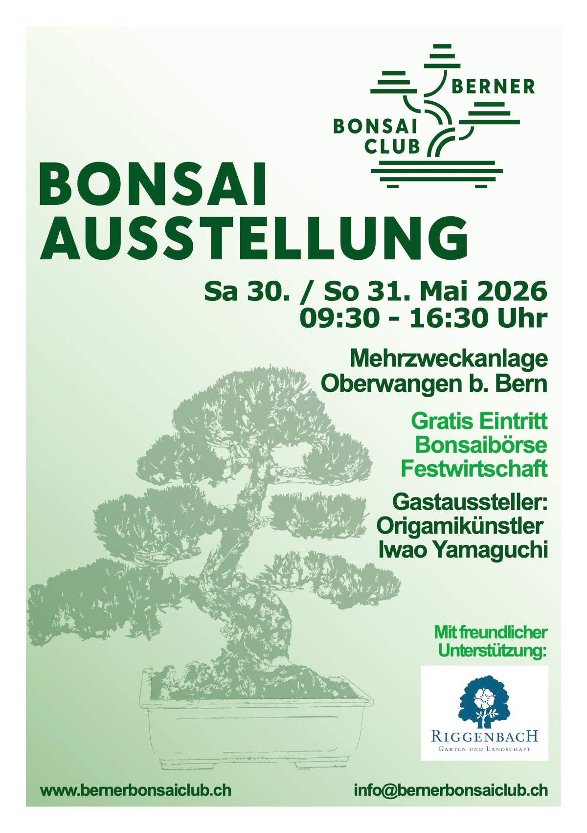 kleine bonsai pflanze Bonsai Baum Höhe 30 Klassischer Miniaturbaum Ø15cm 35cm kaufen main image 0
