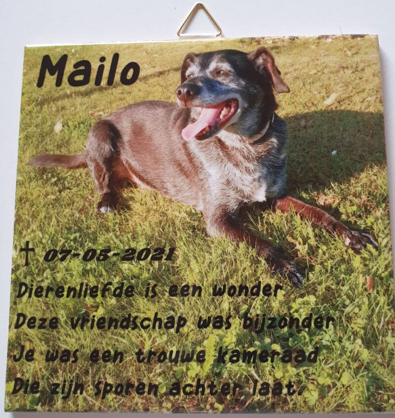 tegeltje2-standard.jpg