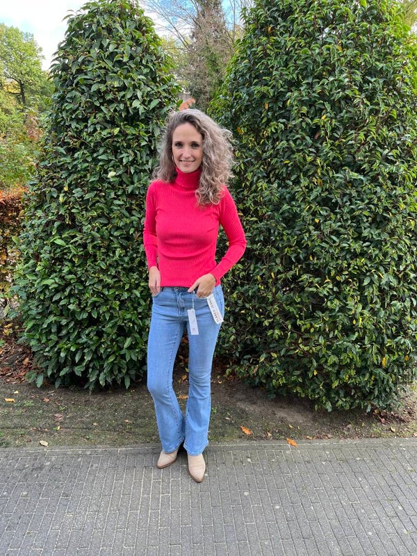 Colletje rib roze