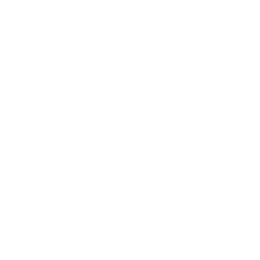 Mobile Detailing