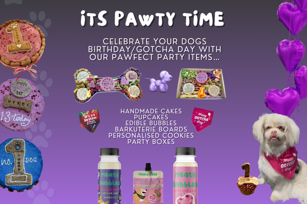 Happy Gotcha Day / Happy Bark Day