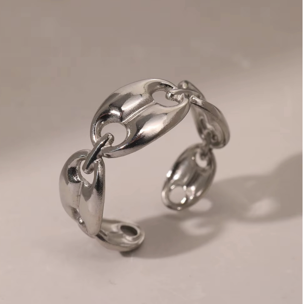 𝑮𝒖𝒄𝒄𝒊 𝒔𝒊𝒍𝒗𝒆𝒓.