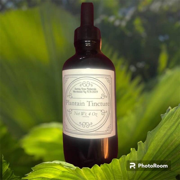 PLAINTAIN LEAF TINCTURE 4 OZ