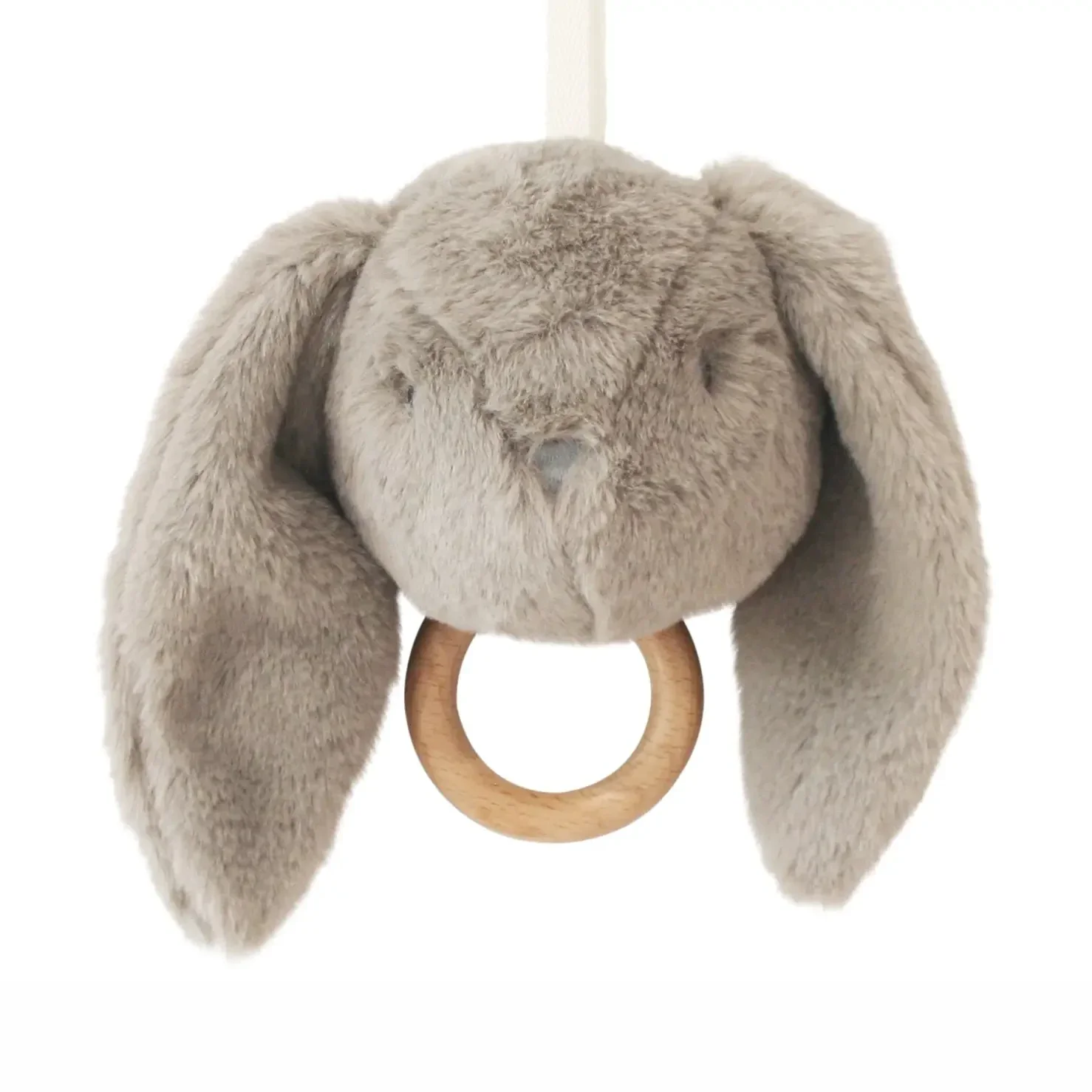 Darcy bunny musical