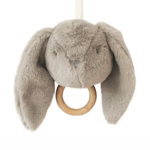 Darcy bunny musical