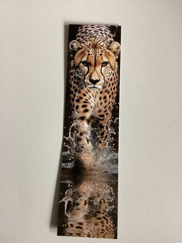 ja tak elsker leopader