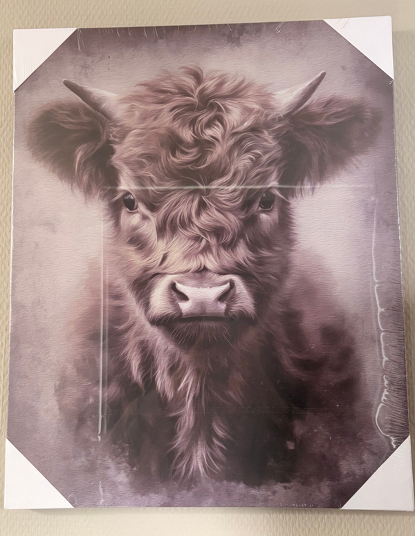 Canvas Schotse hooglander