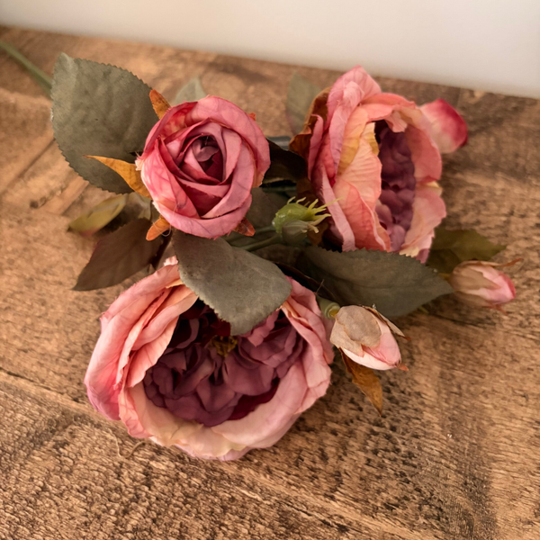 Prachte rozen oude roze