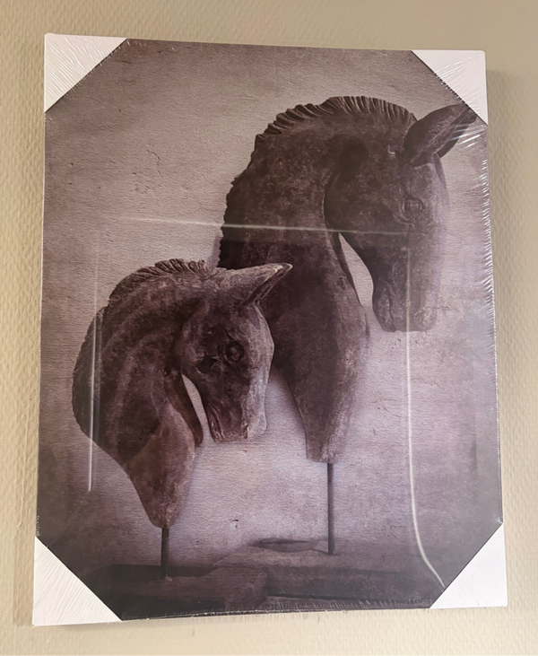 Canvas paardenkoppen