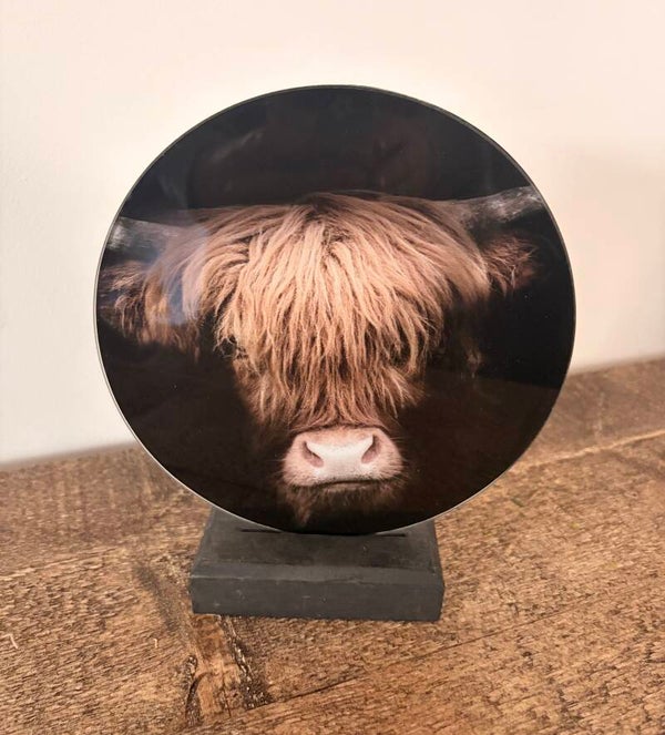 Glasplaatje met Schotse hooglander donker
