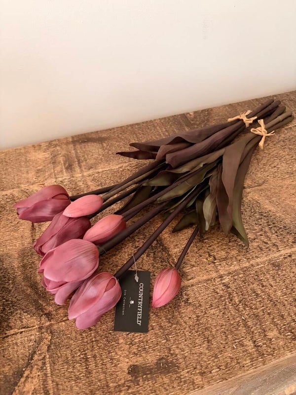 Prachtige donkere tulpen paars 5 stelen per bosje