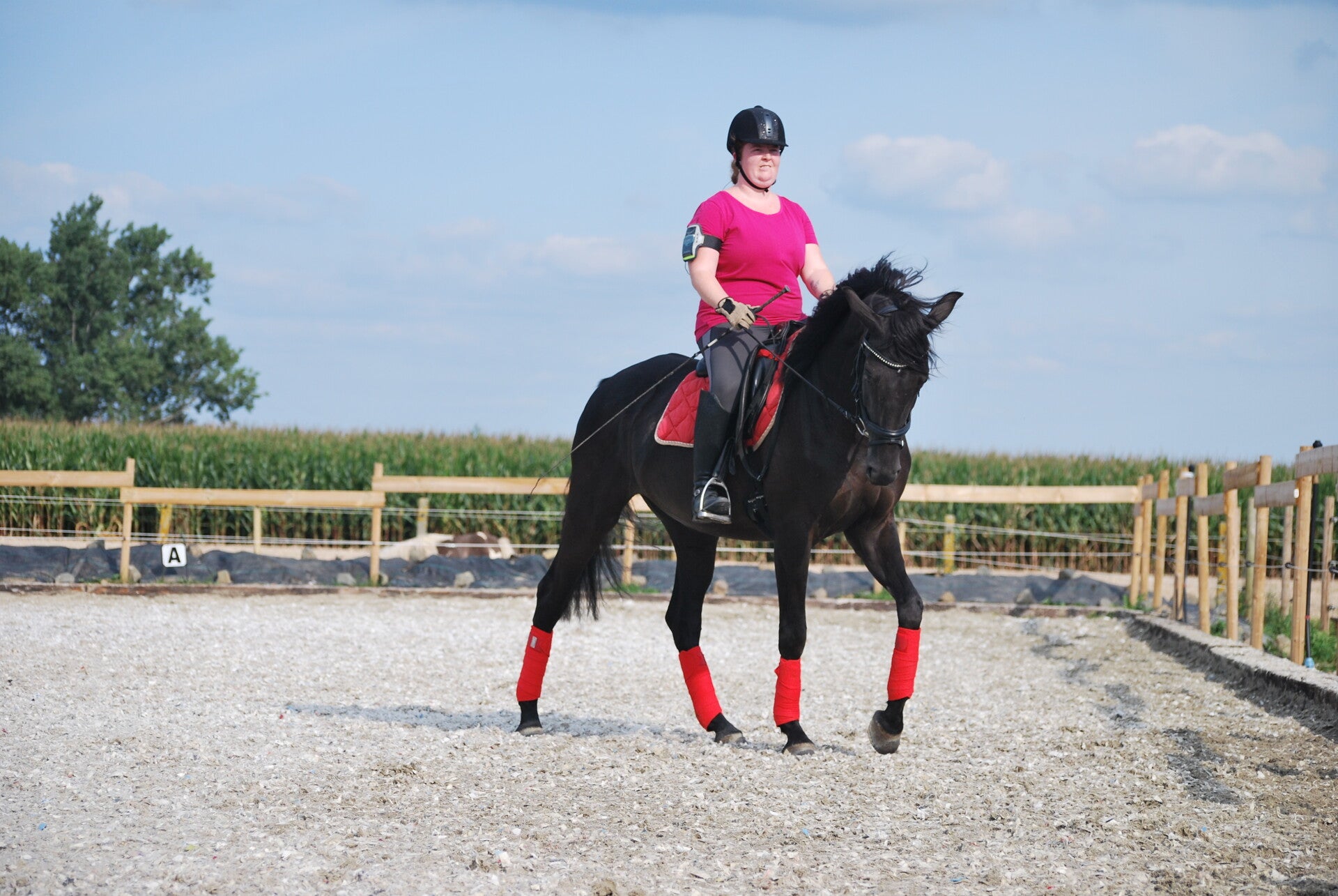 Noble House paardenleren broek in zwart