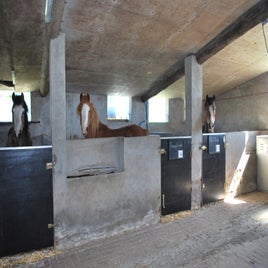 dsc_0052-standard-ufzdwi.jpg