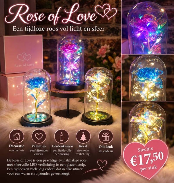 Rose of love