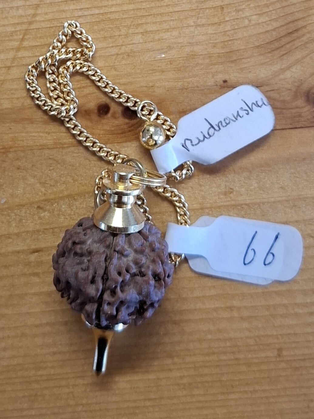 Pendel 66 - Rudraksha.