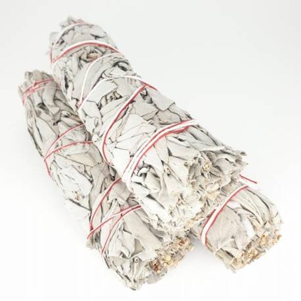 Smudge Stick - Witte Salie. (± 13 cm)