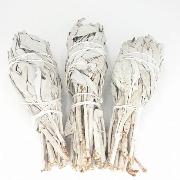 Smudge Stick - Witte Salie Tulip. (± 10 cm)