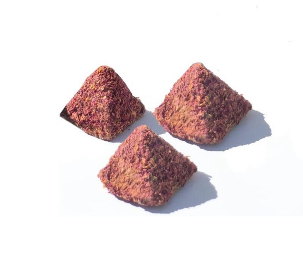 Energiepiramide met Roos.