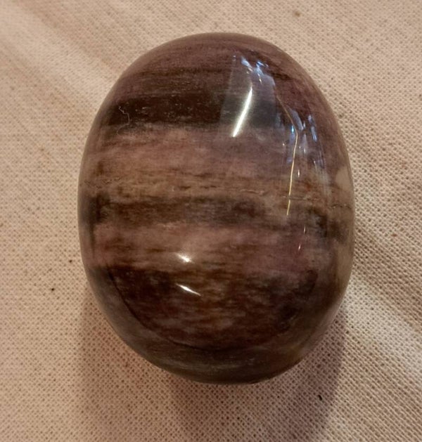 Versteend Hout. (Trommelsteen)