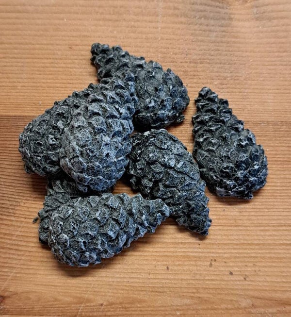 Quinnwood - Dennenappel (kl) Black Musk.