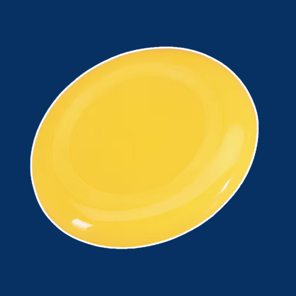 Frisbee met persoonlijke tekst (diverse kleuren)