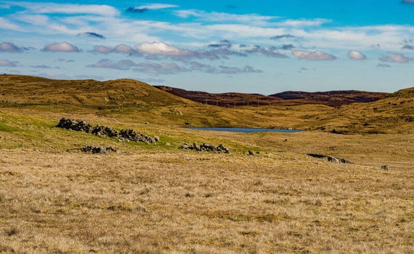 Walls Shetland