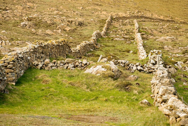 Unst Shetland