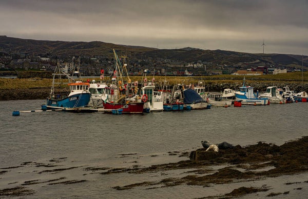 Bressay Shetland
