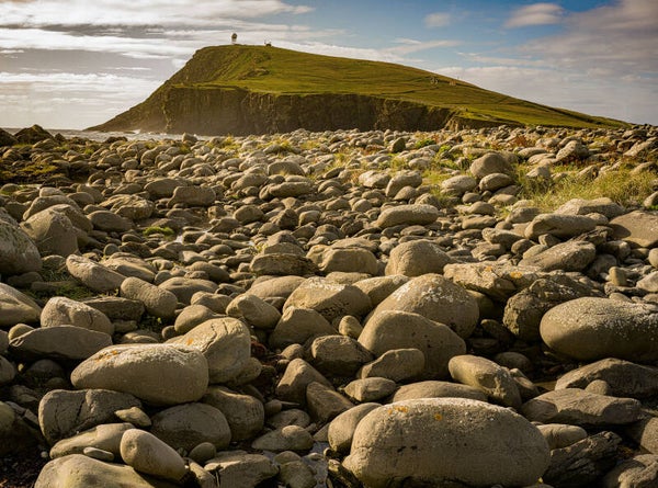 Grutness Sumburgh Shetland