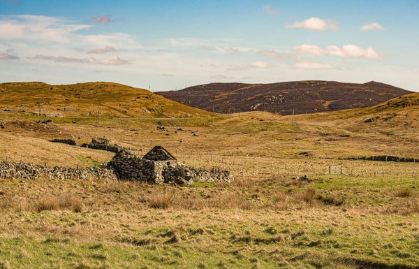 Walls Shetland