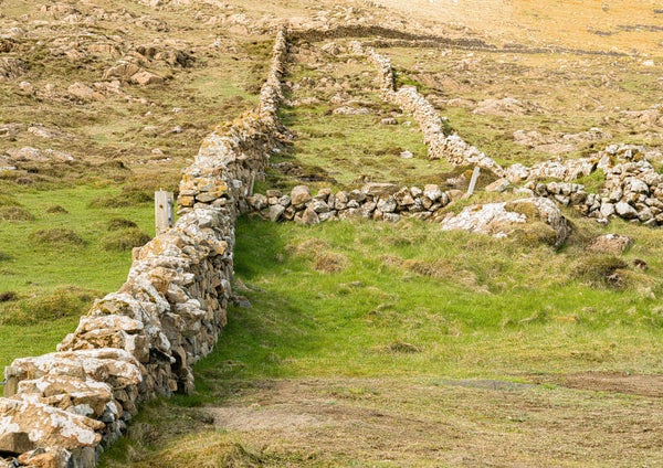 Unst Shetland