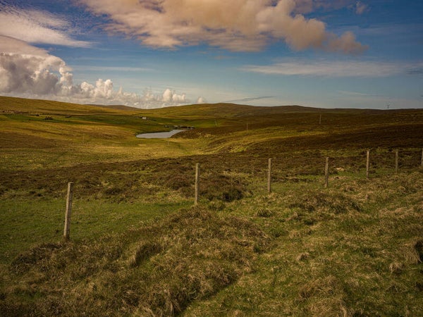 Unst Shetland