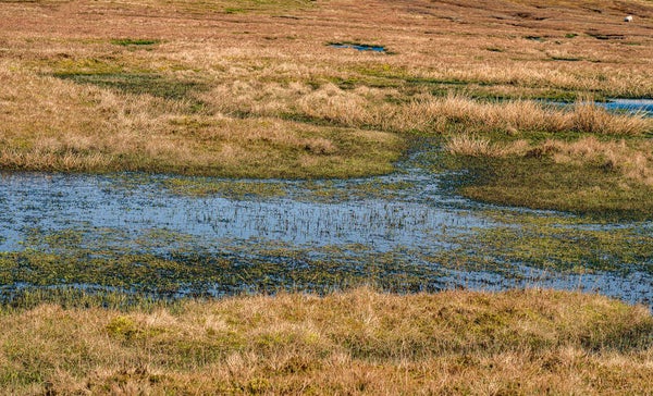 Walls Shetland