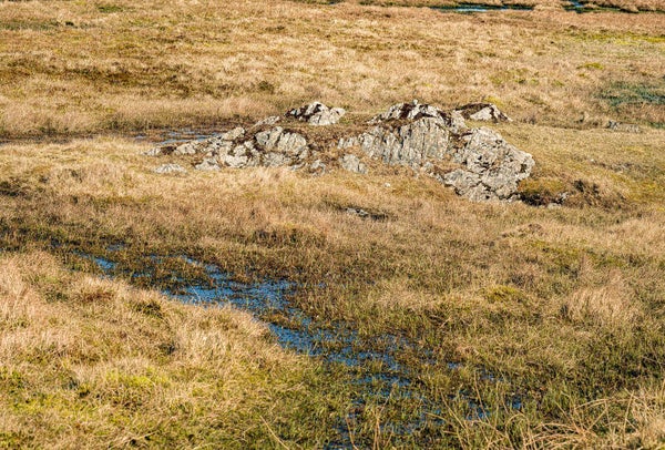 Walls Shetland