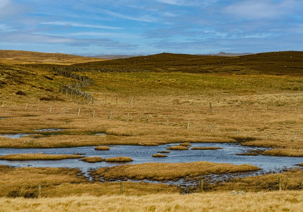 Walls Shetland