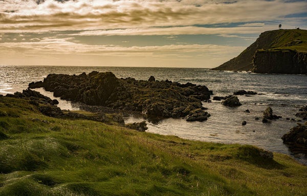 Grutness Sumburgh Shetland