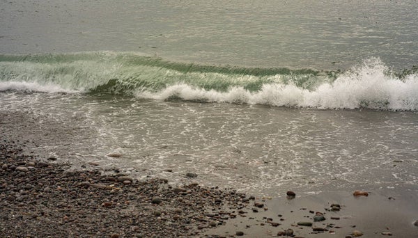 Gulberwick Shetland
