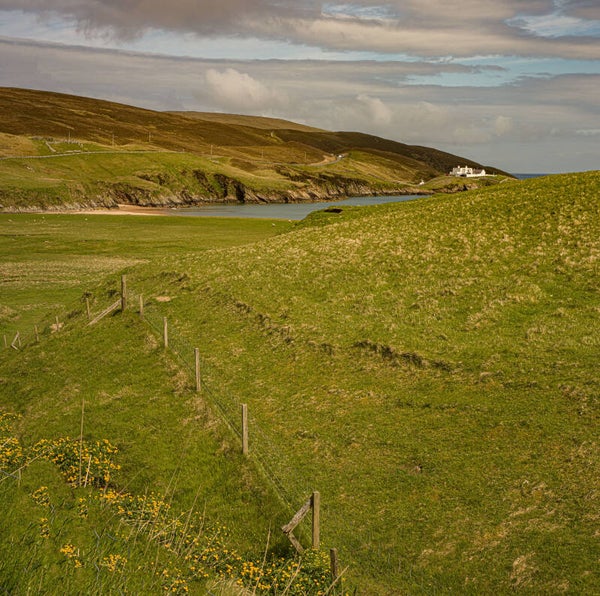 Unst Shetland