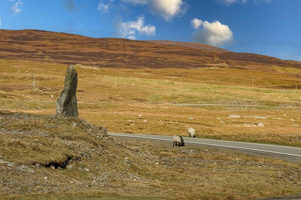 Walls Shetland