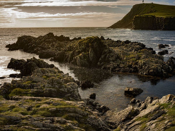 Grutness Sumburgh Shetland