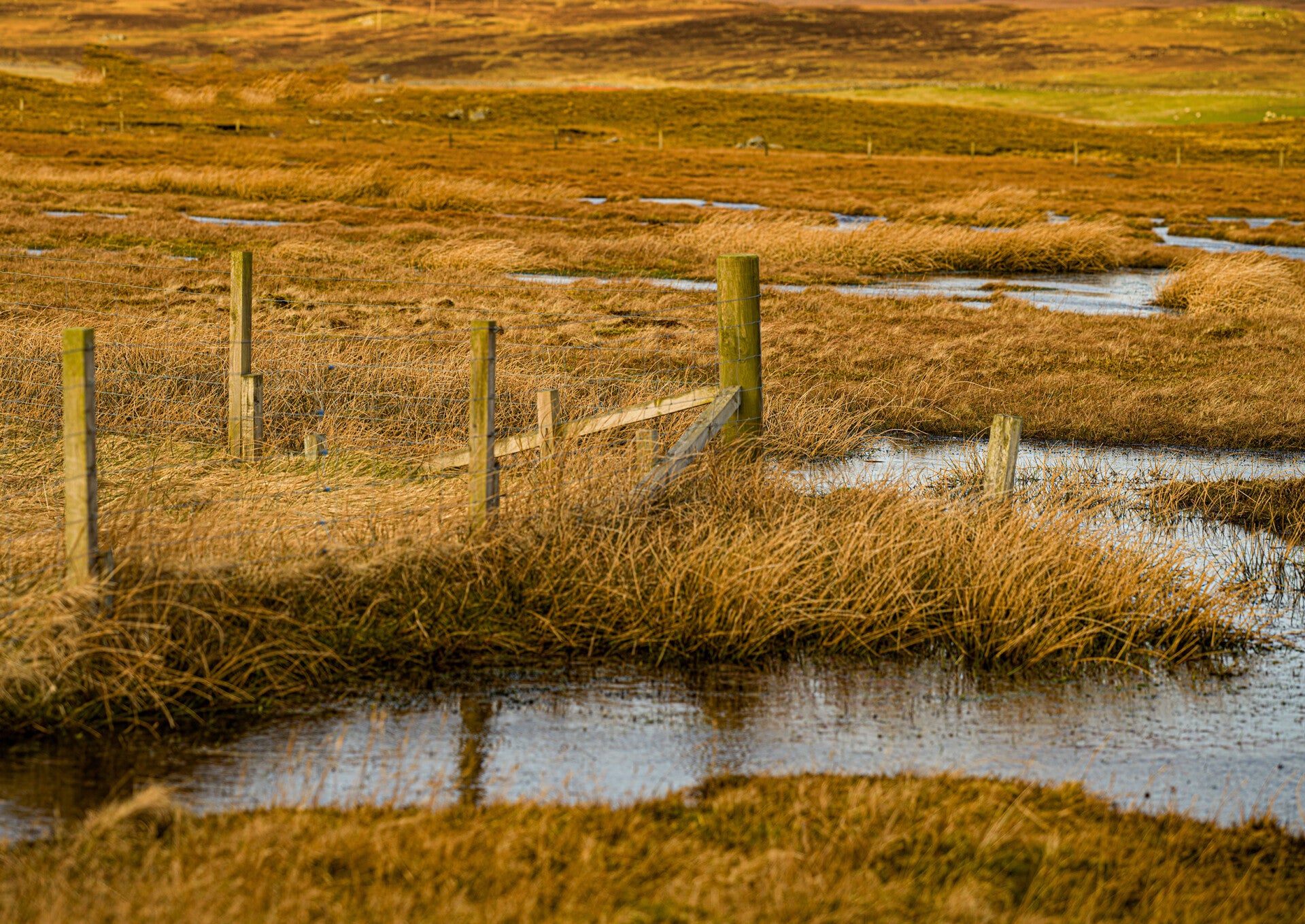 Walls Shetland