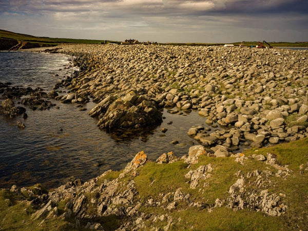 Grutness Sumburgh Shetland