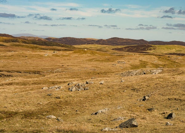 Walls Shetland