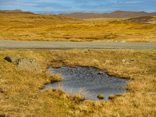 Walls Shetland