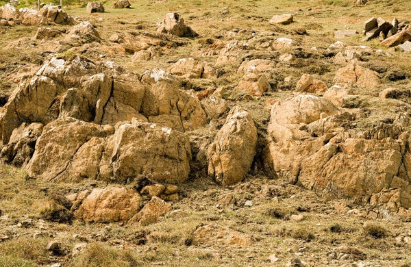 Unst Shetland