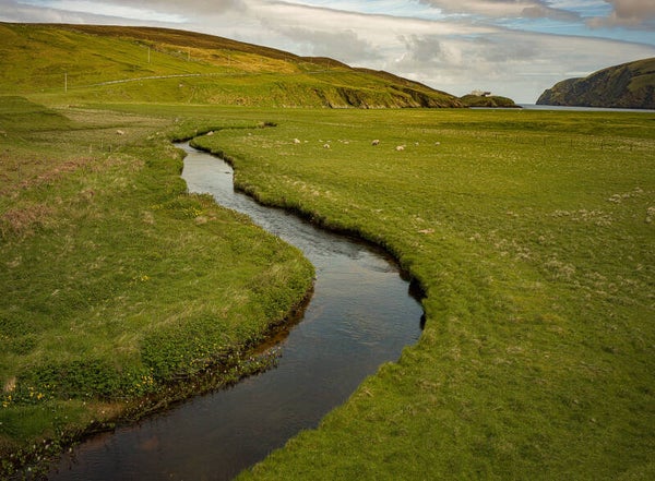 Unst Shetland