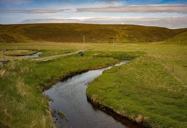 Unst Shetland