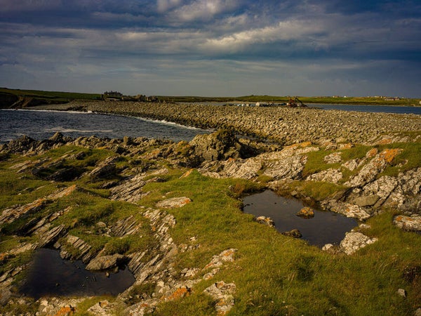Grutness Sumburgh Shetland