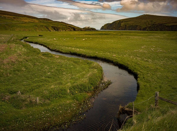 Unst Shetland