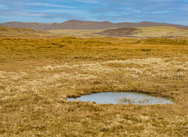 Walls Shetland